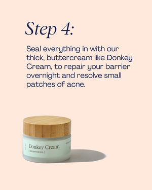 Barrier Repair Set: 10 Year Anniversary Set