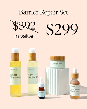 Barrier Repair Set: 10 Year Anniversary Set