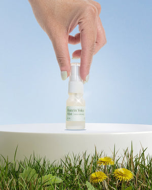 Shinrin Yoku Grounding Aura Mist - Sabbatical Beauty