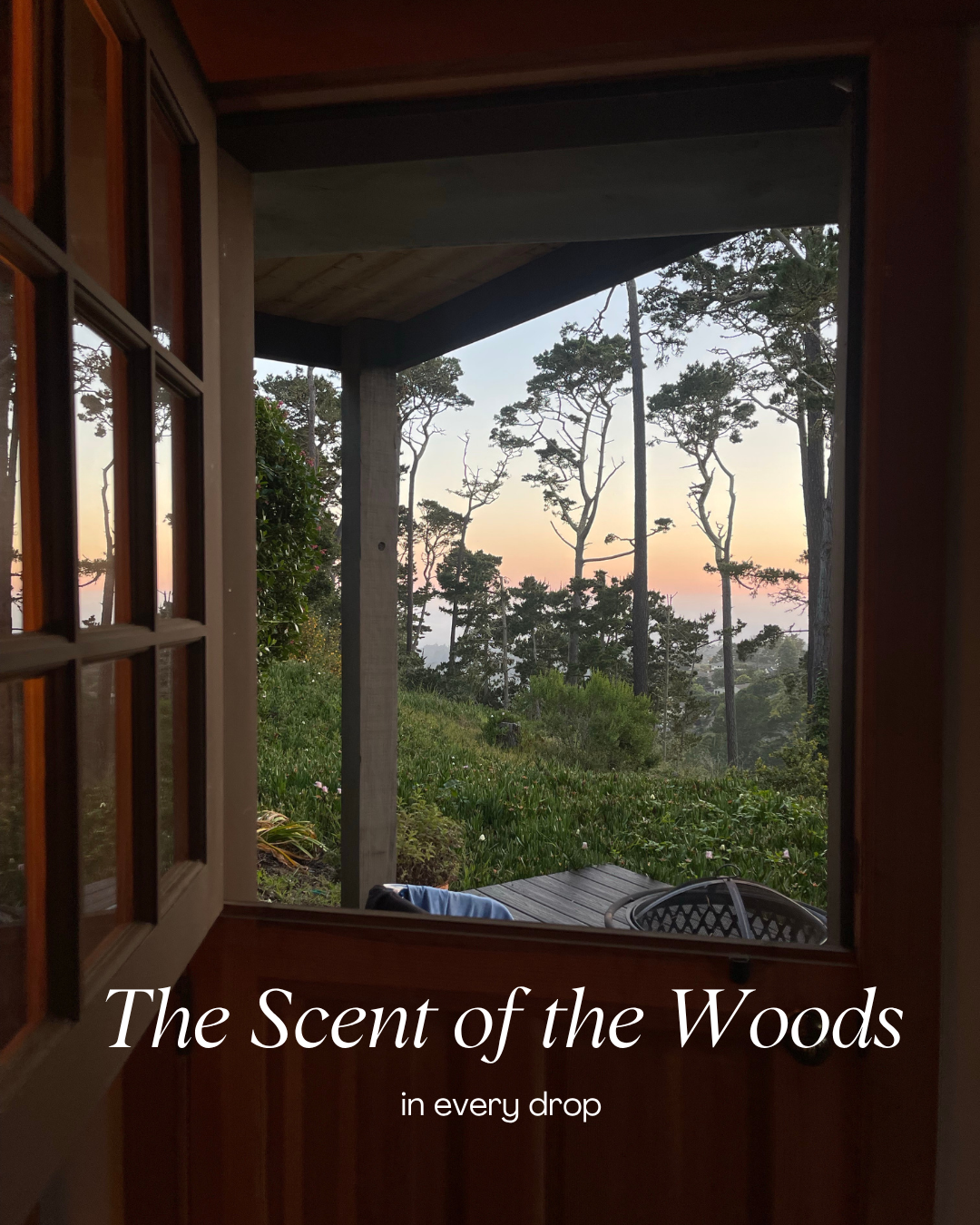 Beard Oil x S.O.U.V.E.N.I.R