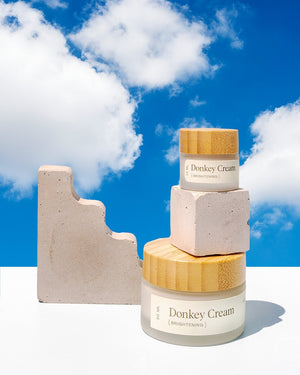 Donkey Cream - Sabbatical Beauty